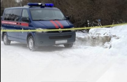 В Пустошкинском районе двое мужчин обвиняются в причинении знакомому тяжкого вреда здоровью со смертельным исходом