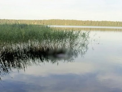 В Пустошкинском районе проводится проверка по сообщению о гибели мужчины в водоеме